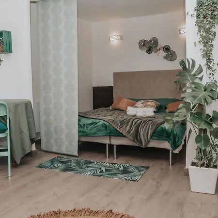 Grand Studio, Vue Centre Carte Parking *