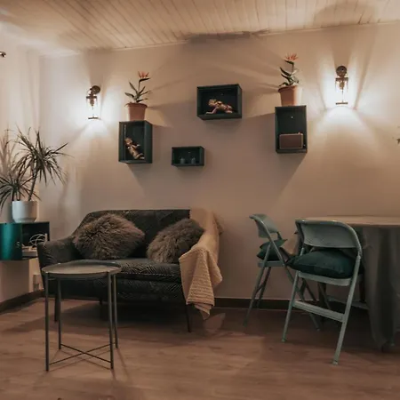 Apartamento Grand Studio, Vue Centre Carte Parking