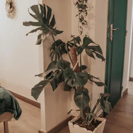 Grand Studio, Vue Centre Carte Parking Sanary-sur-Mer